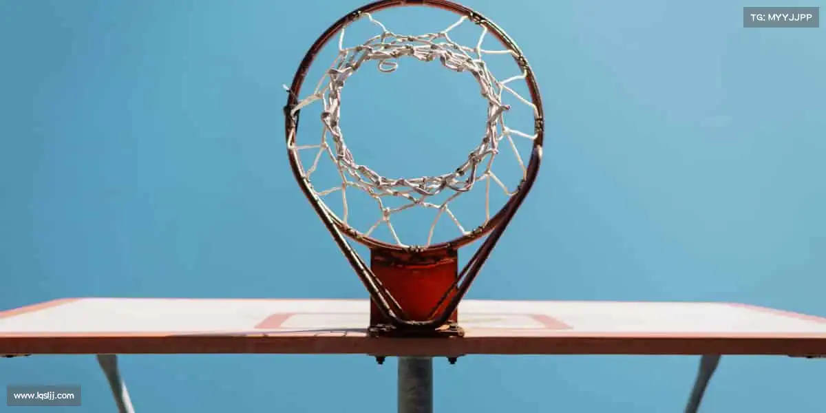 行业领先的理由